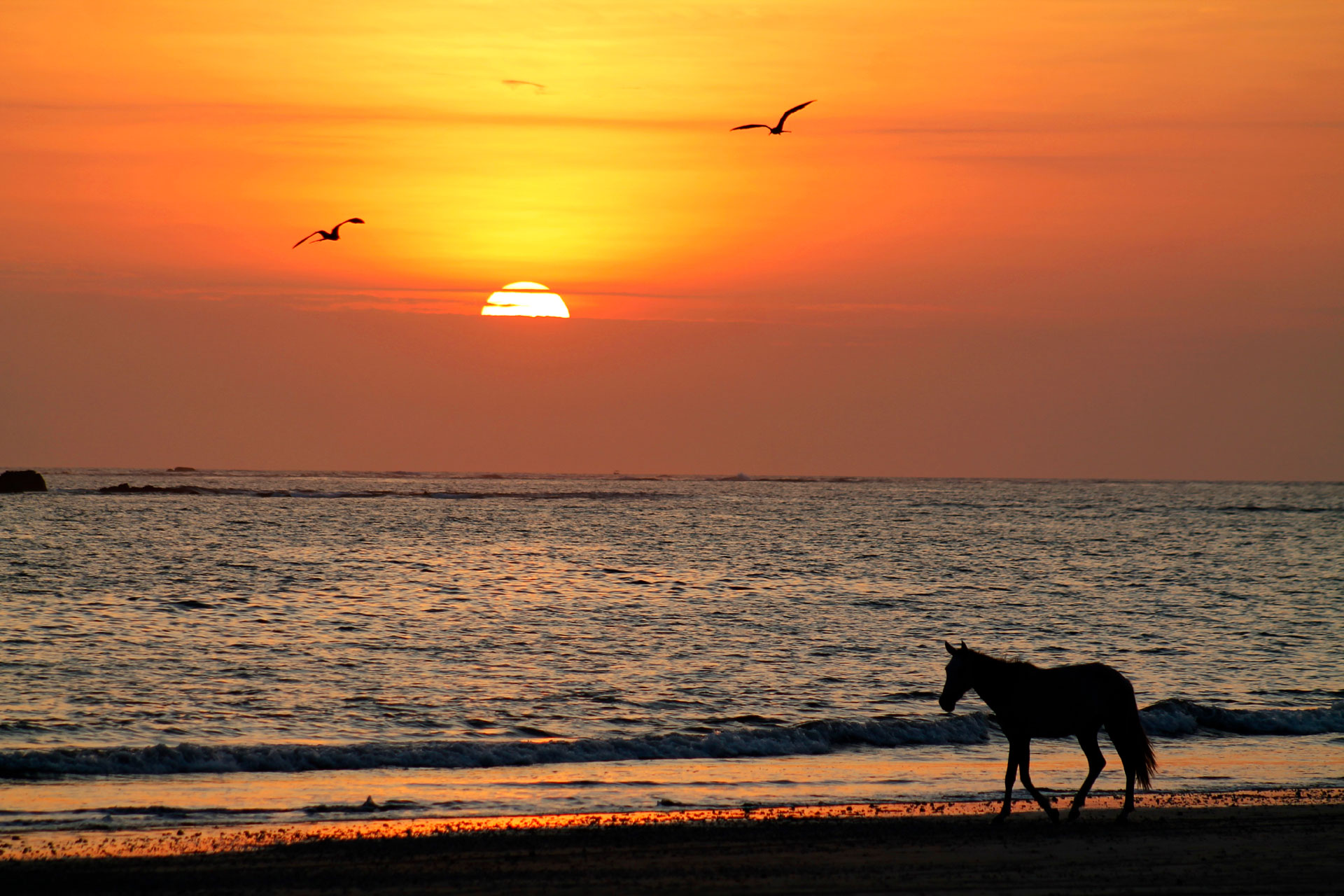 Playa Sámara - Vista del mar y actividades